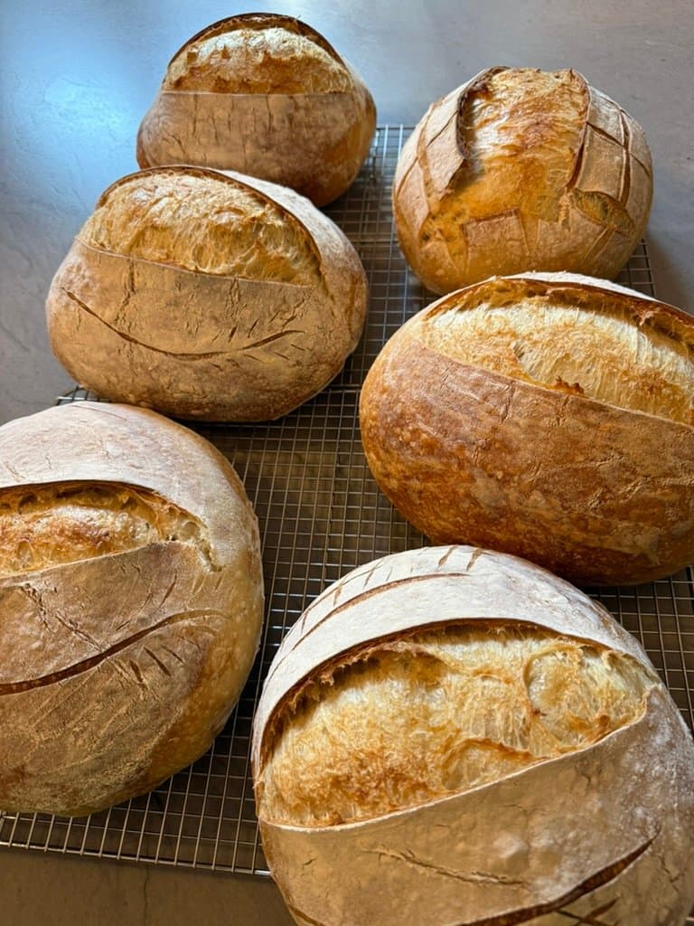 A fresh batch of sourdough loaves cooling on the rack