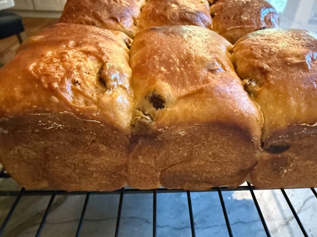 Sourdough Cinnamon Raisin Milk Bread