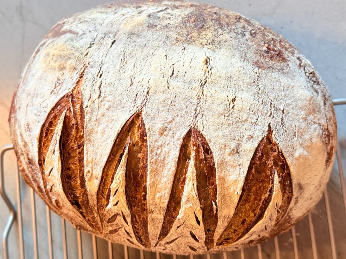 Supa Dupa Sourdough