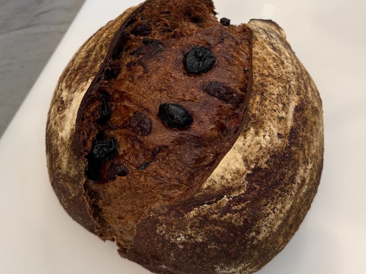 Honey Chocolate Cherry Sourdough