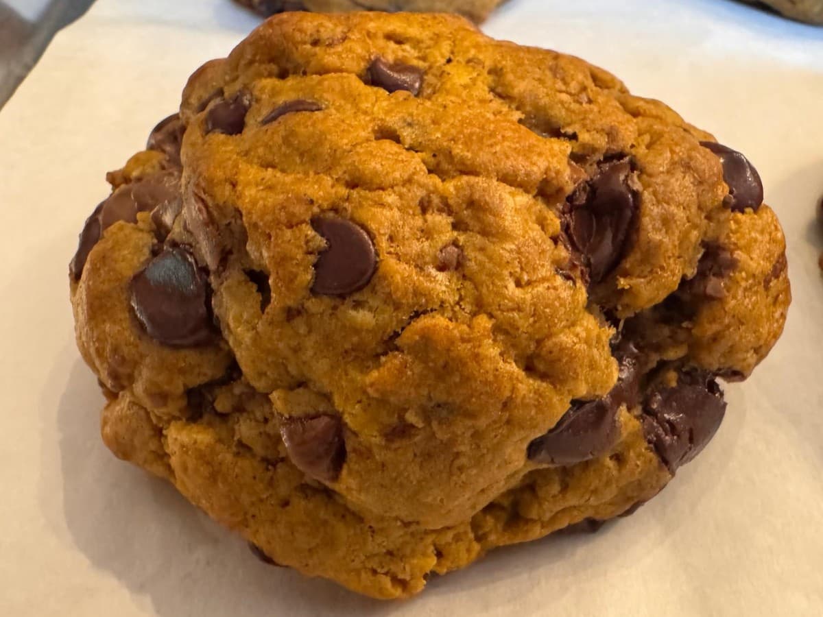 Pumpkin Chocolate Chip