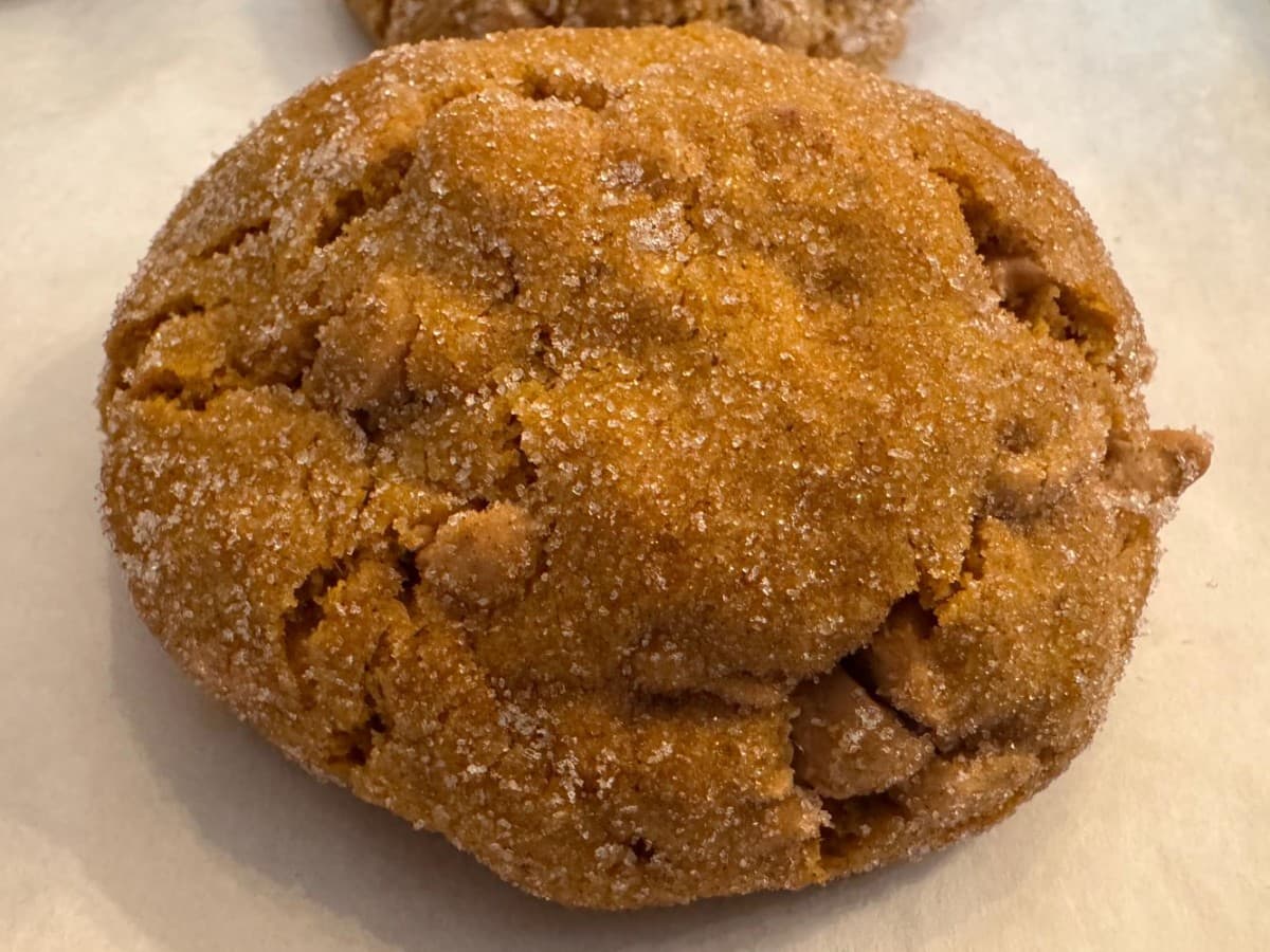 Pumpkin Snickerdoodle