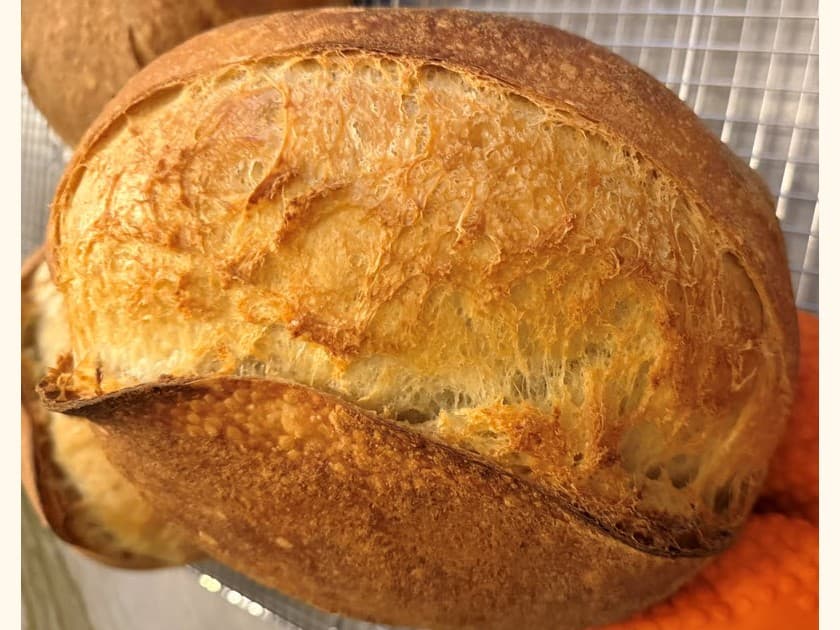 Golden Wheat Sourdough