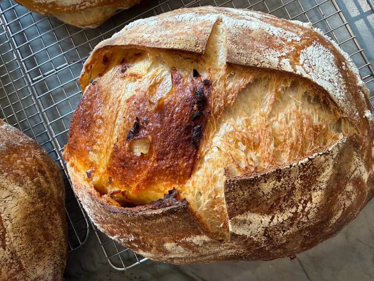 Chili Crunch & Cheddar Sourdough